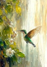 Graceful Hummingbird 5