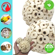 2363 Pk2 Large Sola Atta Ball Foot Beak Chew Forage Natural Organic Pet Ball