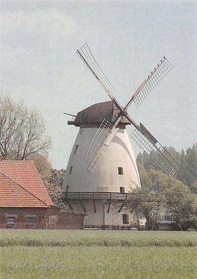 834534) AK Windmüle Minden Rodenbeck 