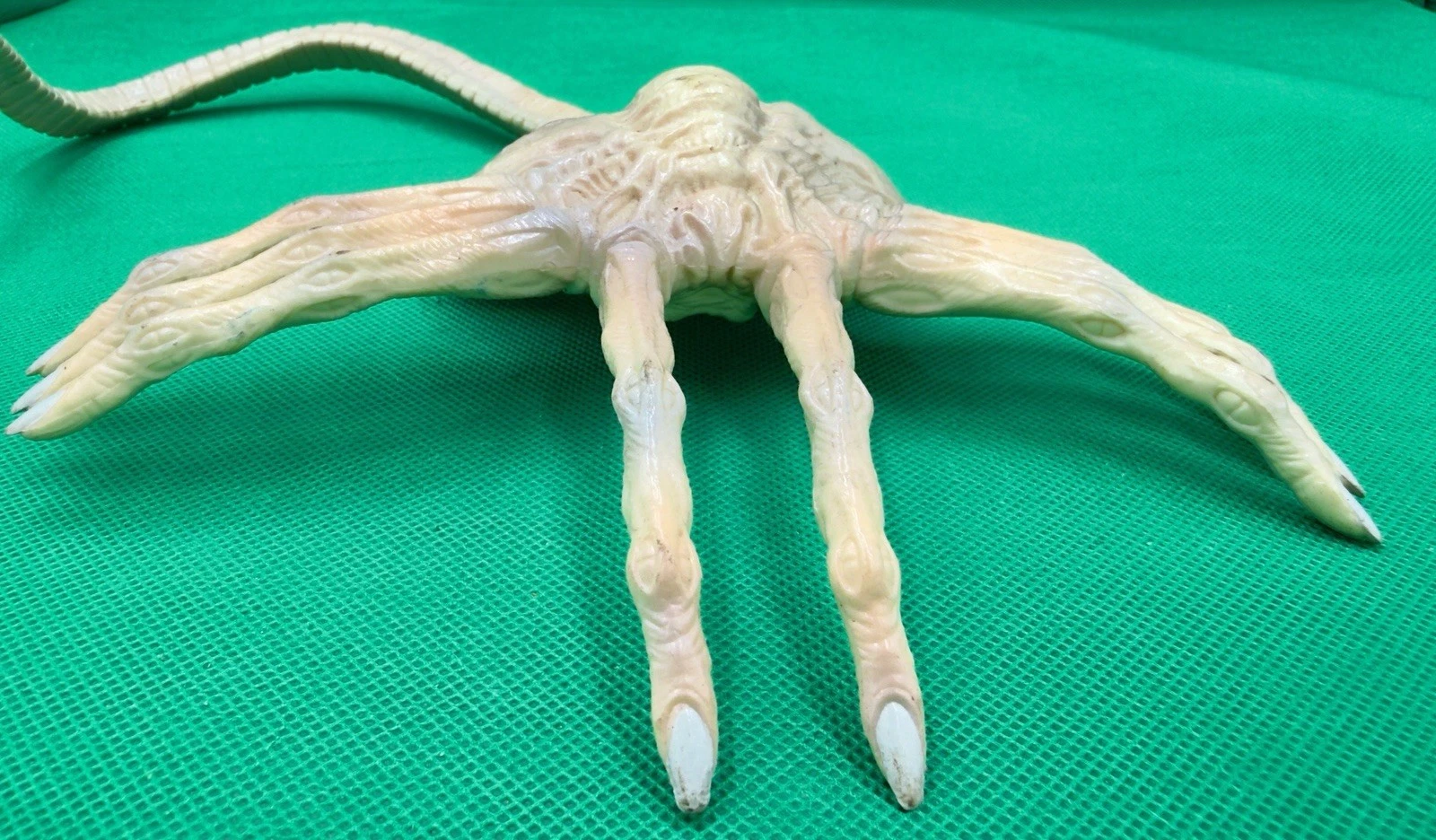 Alien Resurrection Facehugger photo 5