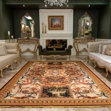 FERONIA Vintage Luxury 8x10 Area Rug - Machine Washable for Living Room Bedroom