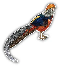 Autoaufkleber Chinesischer Fasan K4015 Sticker-12cm