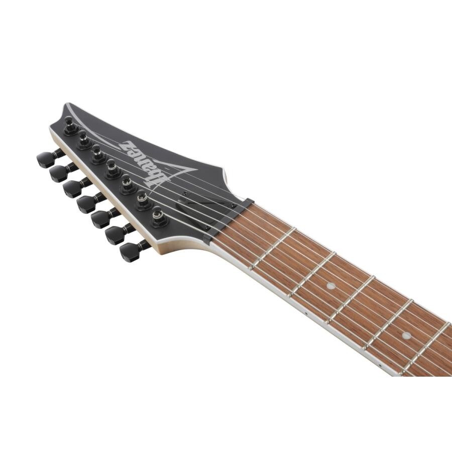 IBANEZ Electric guitar RG7421EX-BKF (Black Flat) 7 string | eBay