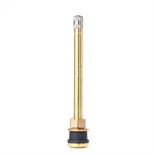 Tire Mechanic's Resource TR573 Brass Truck Valve (Pack of 50)