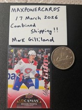 2021-22 UPPER DECK MICHAEL PEZZETTA UD CANVAS YOUNG GUNS # C379