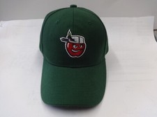 New NWOT Vintage SGA MiLB Fort Wayne Tincaps Men Adjustable OSFA Ballcap