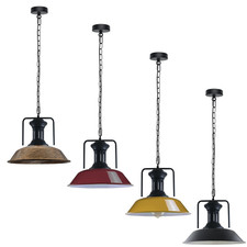 Vintage Industrial Pendant Ceiling Light Hanging Chain Retro Barn Lamp Farmhouse