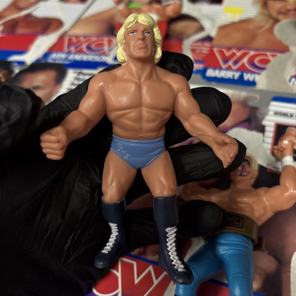 Lote de 12 figuras de lucha libre WCW Galoob de colección conjunto de luchador Reino Unido con tarjetero 10 cinturón Foto 2 de 4