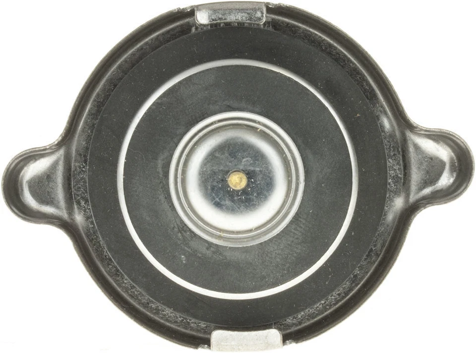 Puertas tapa radiador 31526 Foto 3 de 3