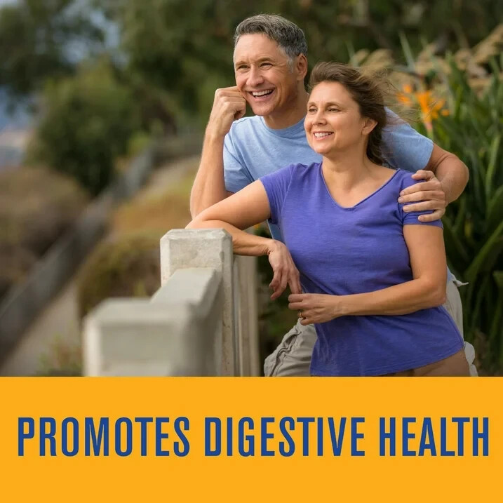 Equate Daily Fiber, 100 Psyllium Husk Dietary Supplement Capsules, 160