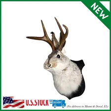 Jackalope Mount, Jackalope Taxidermy, Deer Head Wall Mount, Resin Deer Head Anim