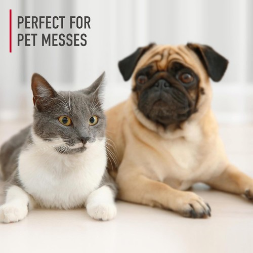 Hoover Pet Carpet Cleaner Solution 128 oz., Tropical Breeze Scent, Deep Cleaning - Picture 3 of 6