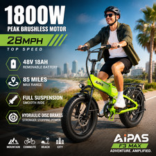 20" Fat Tire Electric Bike 1800W Peak Off-Road Mountain Ebike for Adult 48V 18A