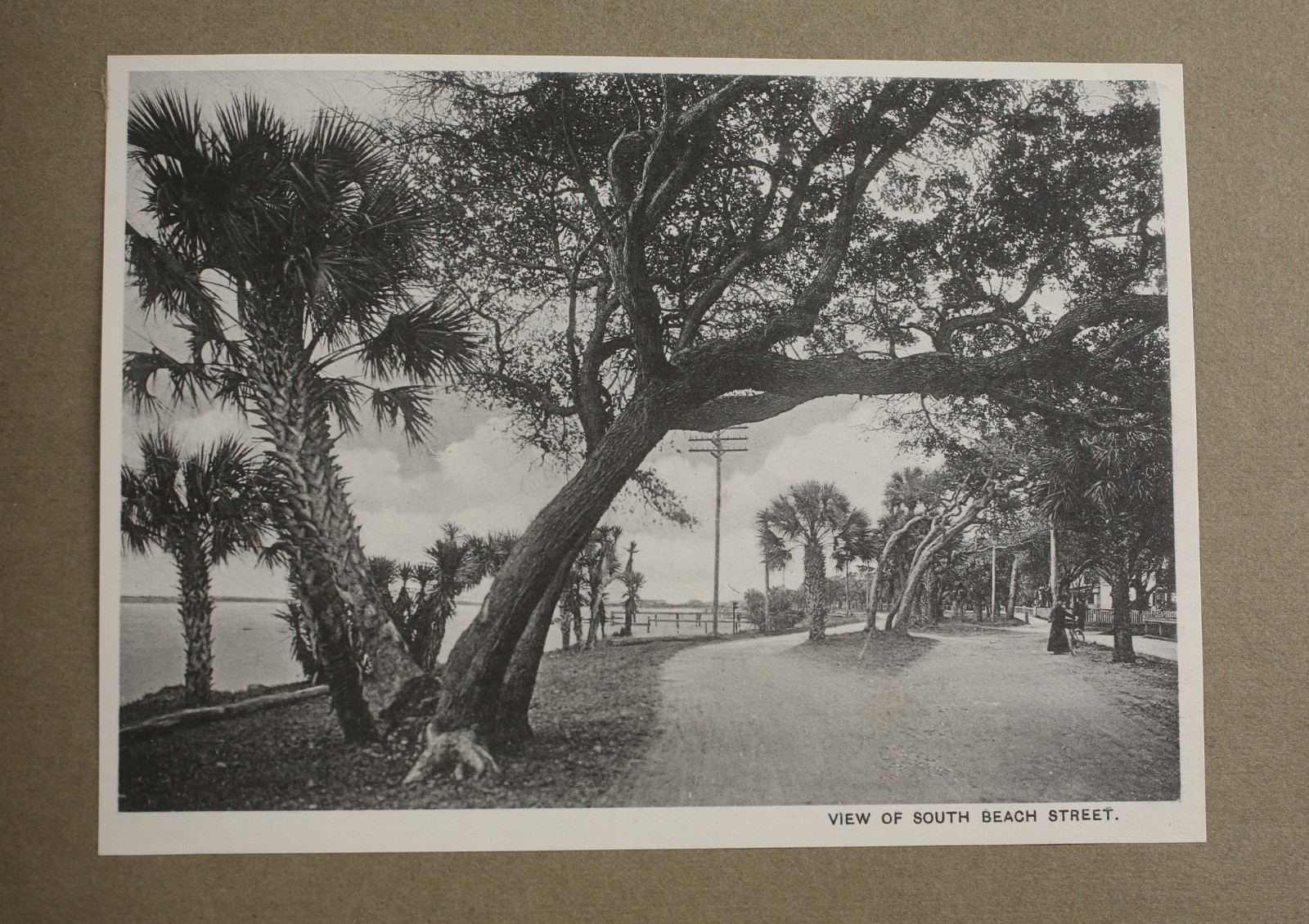 Picture 8 of 10