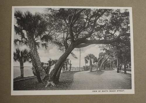 Rare Vintage Souvenir View Photo Book Daytona Florida circa 1900 - Picture 8 of 10