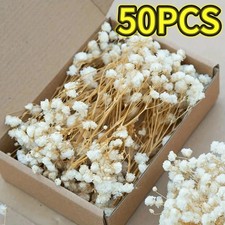 Dried Babys Breath 50pcs Mini Gypsophila Small Bundle Real Touch Flowers for Diy