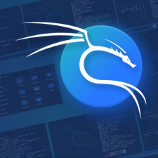 Linux Kali 2025.4, 64-bit, Bootable Live and Install USB Flash Drive