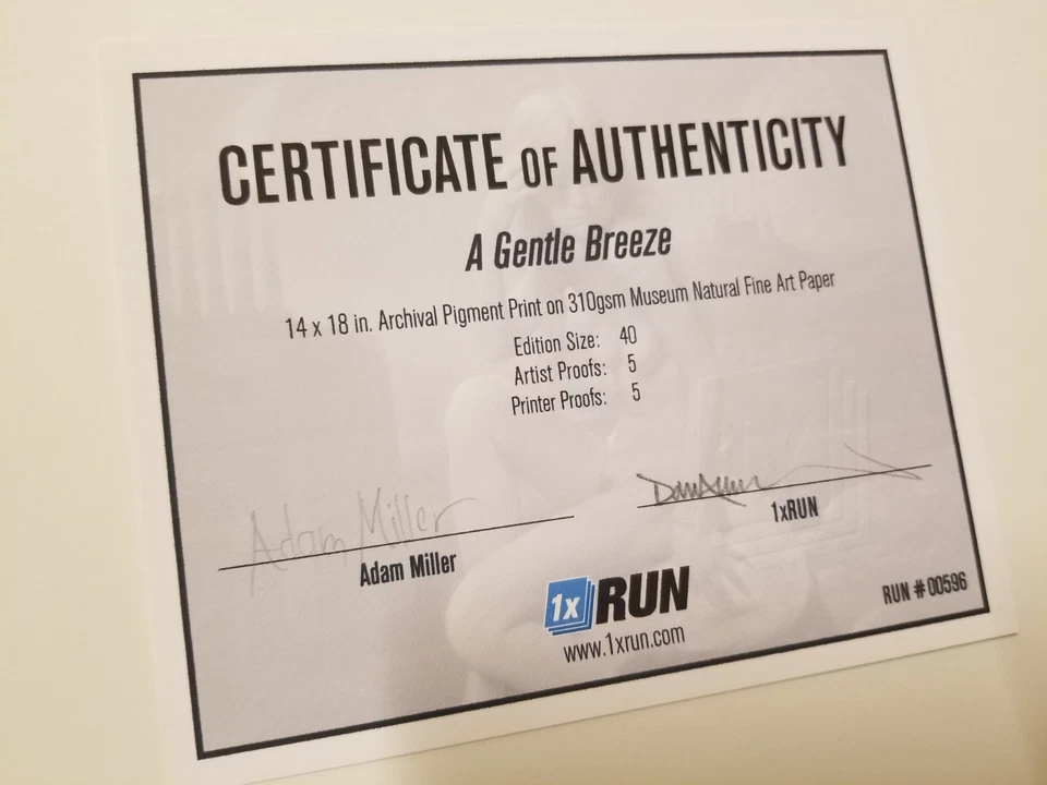 Impresión de pigmento de giclee ADAM MILLER "A Gentle Breeze", firmada, numerada 1xRun Foto 4 de 4