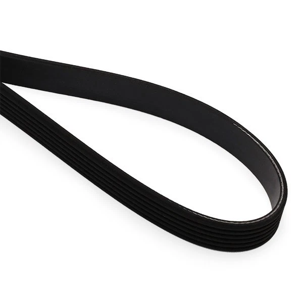 DAYCO Courroie Poly-V Courroie d'accessoire 6PK2050 pour LEXUS RC (GSC1, USC1) - Photo 4/4