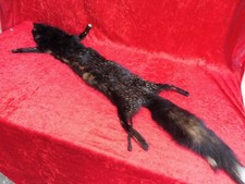 sch&ouml;ne , alte Fuchs-Stola  , ganzes Fell , Fellschal !