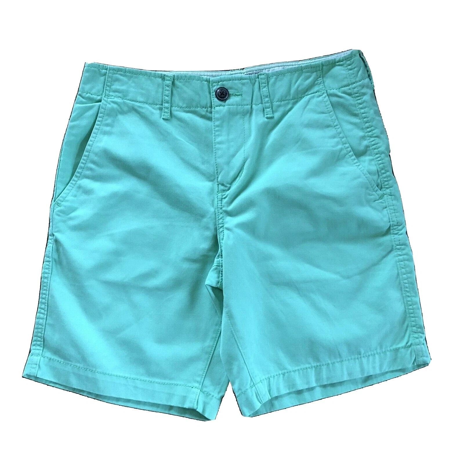 American Eagle Outfitters Regular 30 Size Shorts for Men