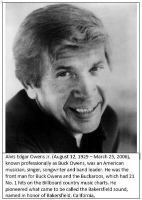 Vinyl Buck Owens LP Albums