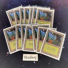 1x MTG Unlimited Forest Version A from Estate Collection