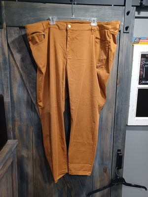 Lane Bryant Jeans. Suze 28   NWT