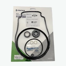 OEM Pentair Whisperflo Intelliflo VS Pump Seal Set 356198