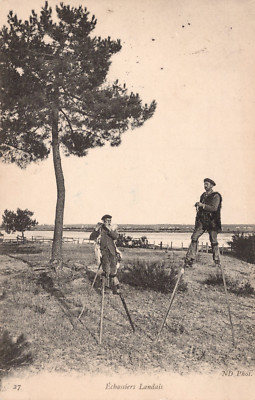Landes France Stilt Walker Shepard Concert in Forest Shepherdess Postcard