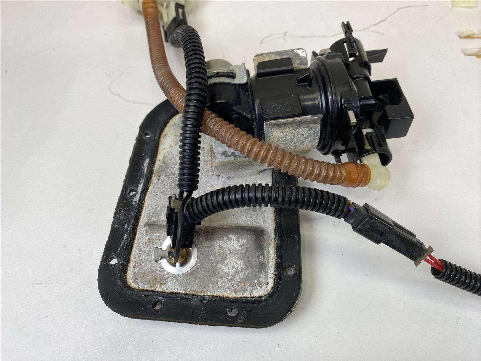 2010 HarleyDavidson Softail Convertible CVO Fuel Pump & Top Plate