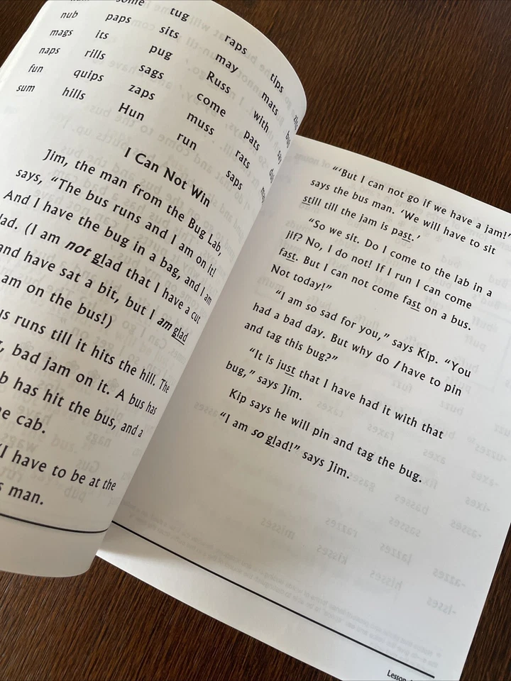 I CAN READ IT!: SONLIGHT CURRICULUM PHONICS. Homeschool By John Holzmann - Image 4 of 4