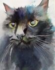 Original Black Cat Painting Watercolor Art 11 x 14 inch picture Long hair decor