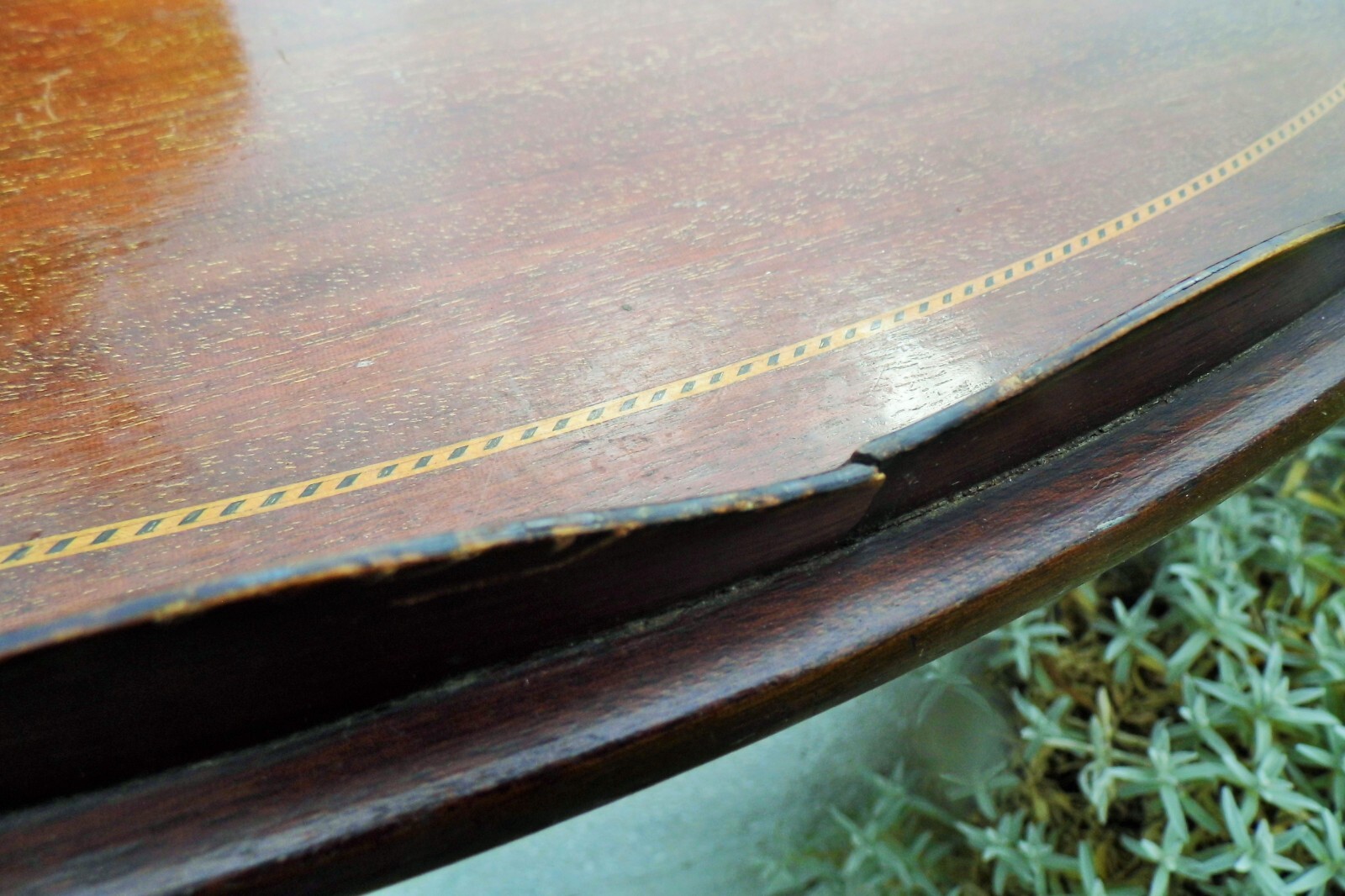 TRAY mahogany Edwardian Serving large 63x41 cm antique Tray eBay