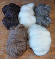 Wool Roving Starter Pack Felting Supplies 50g Each Type