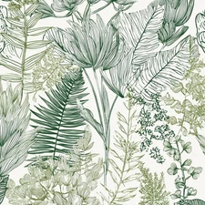 Peel and Stick Wallpaper Botanical Tropical Leaf Flowers Vinyl Contact Paper