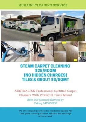 Professional Steam Carpet Cleaning 25 Per