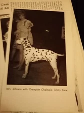 Xm34 Ephemera 1969 Picture Norwich Union Mrs Johnson Timmy Trew 