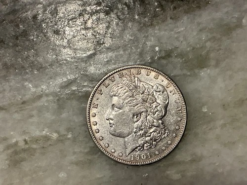 1901-S S Silver Morgan Dollar VF