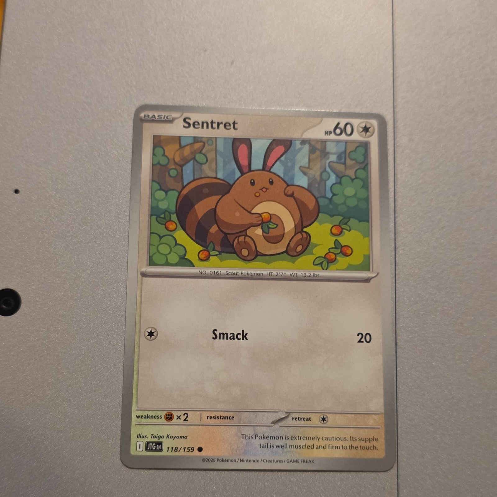 Pokemon TCG Sentret 118/159 Sv09: Journey Together Reverse Holo Common EN HP60