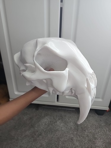 Life-Size Saber-Toothed Tiger Smilodon Skull Replica Model