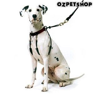 harness to stop pulling