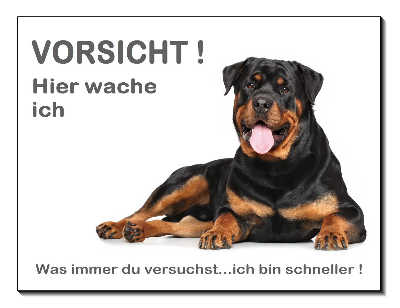 Boxer Alarm Video Schild 3 Größen Aluminium Verbund Hund Tierschild Warnschild Hinweisschild 1450 69 Klebepads