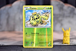 Cacnea 9/116 Plasma Freeze Reverse Holo Common
