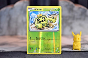Cacnea 9/116 Plasma Freeze Reverse Holo Common
