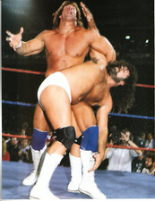 AWA AMERICAN WRESTLING ASSOCIATION PINUP (1985) KERRY VON ERICH JIMMY GARVIN