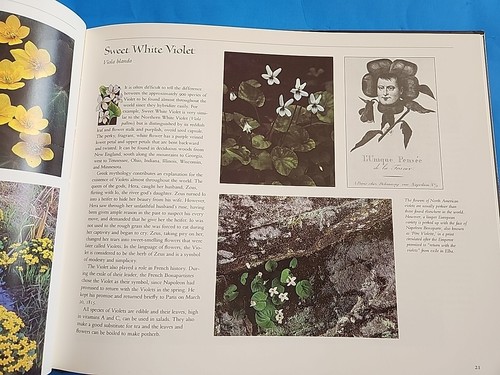 Wildflowers Stamp Collection Book, No Stamps Just This Beautiful Book - Picture 6 of 10