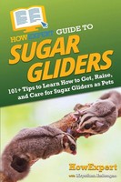 HowExpert (U. A.) | HowExpert Guide To Sugar Gliders | Taschenbuch | Englisch