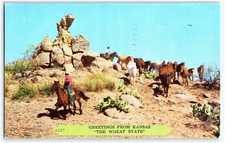 COWBOYS AND HORSES GREETINGS FROM KANSAS THE WHEAT STATE REMBRANT POSTCARD