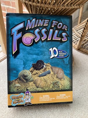 Neue Mine für Fossilien ab 6+ Jahren Graben Sie nach 10 echten Fossilien von Dr. Cool
